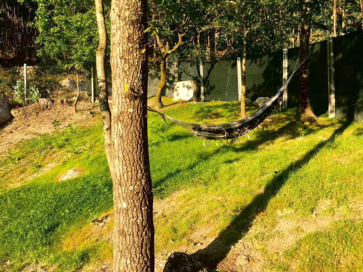 The Green Roof House Vieira do Minho Esterno foto